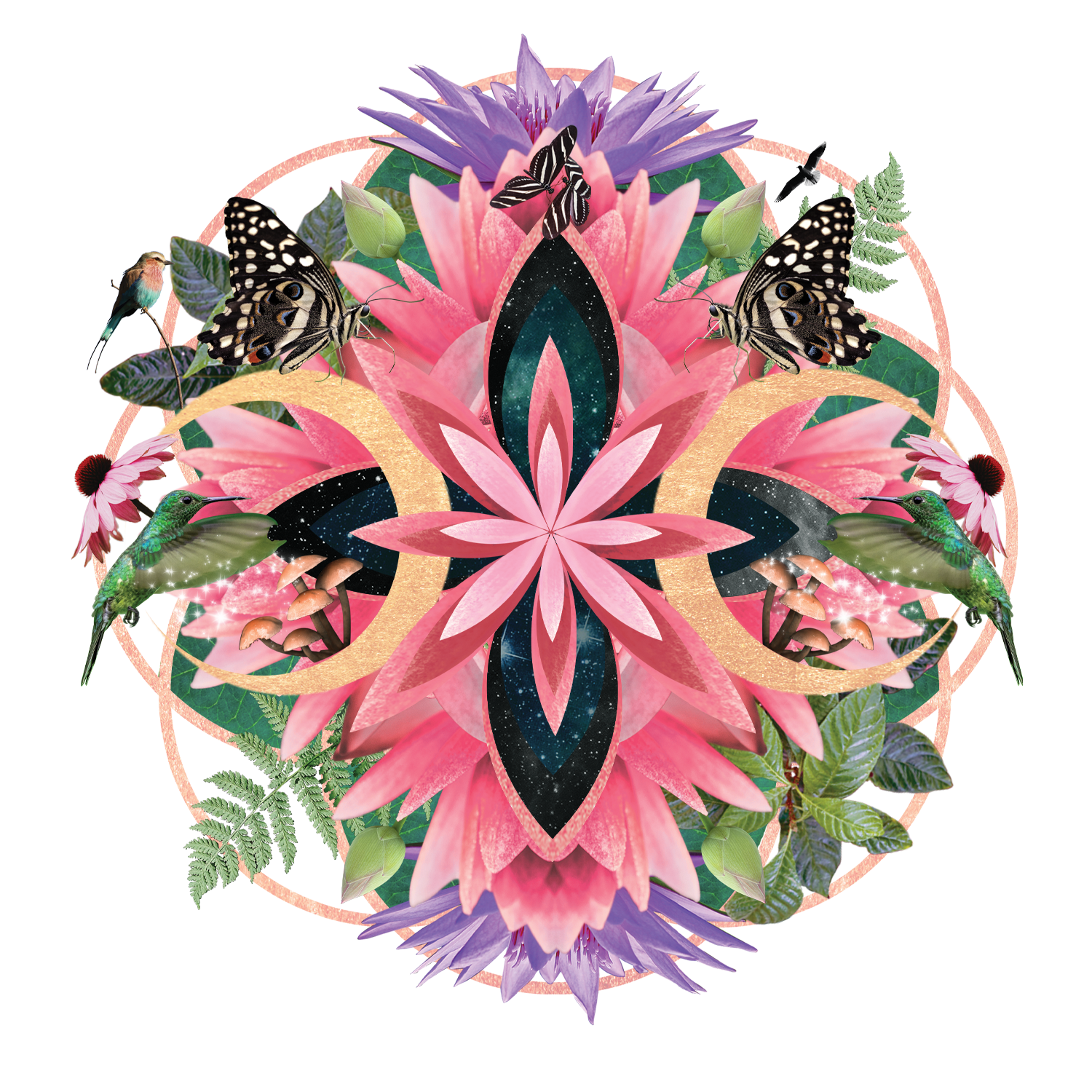 Bloom Breathwork
