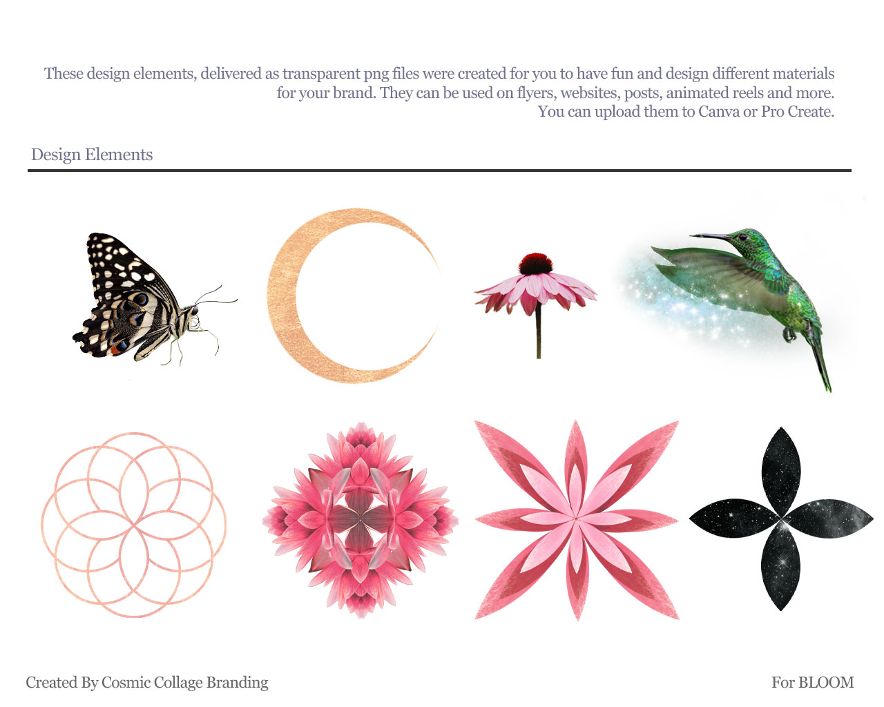 Bloom design elements