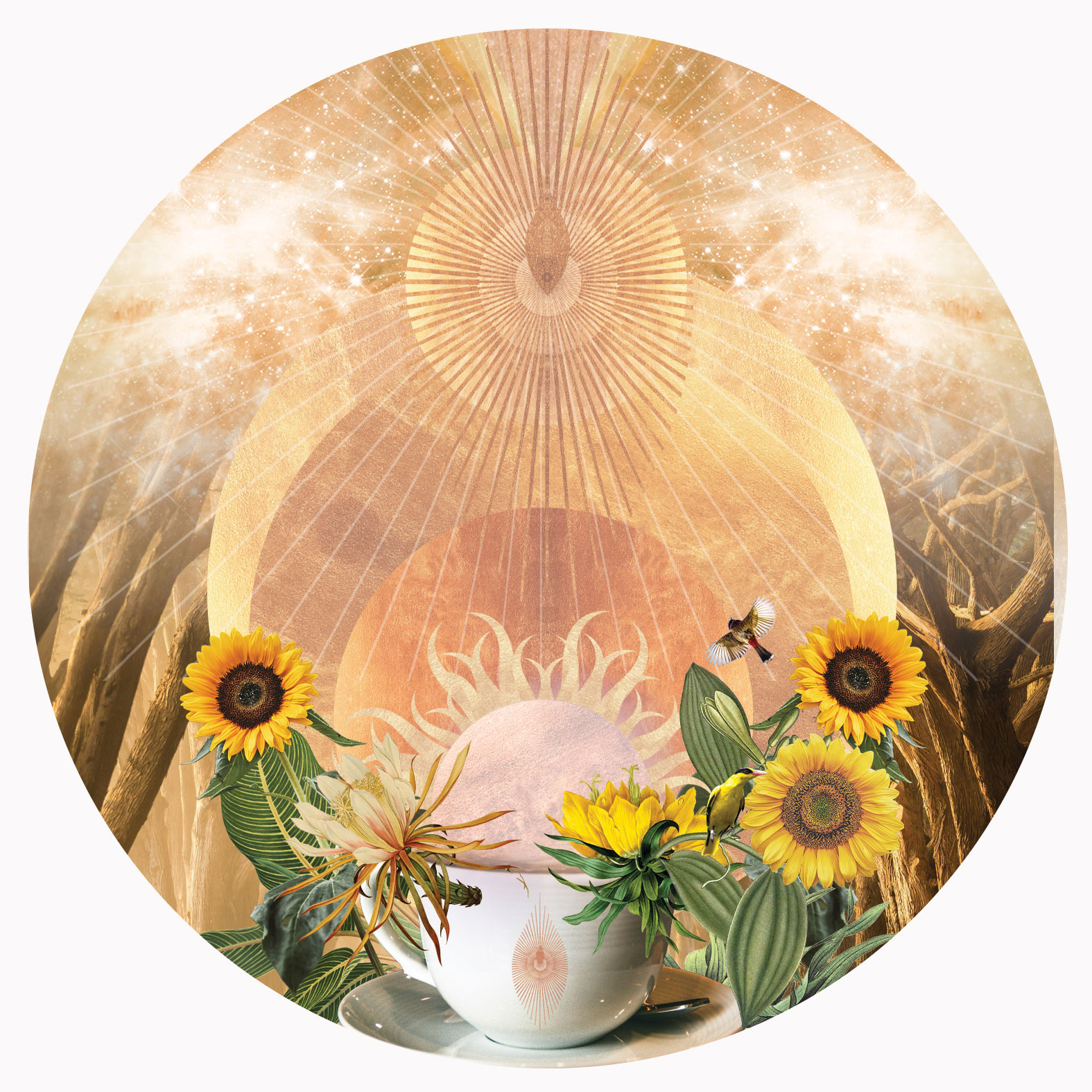 Cup of Light circle label
