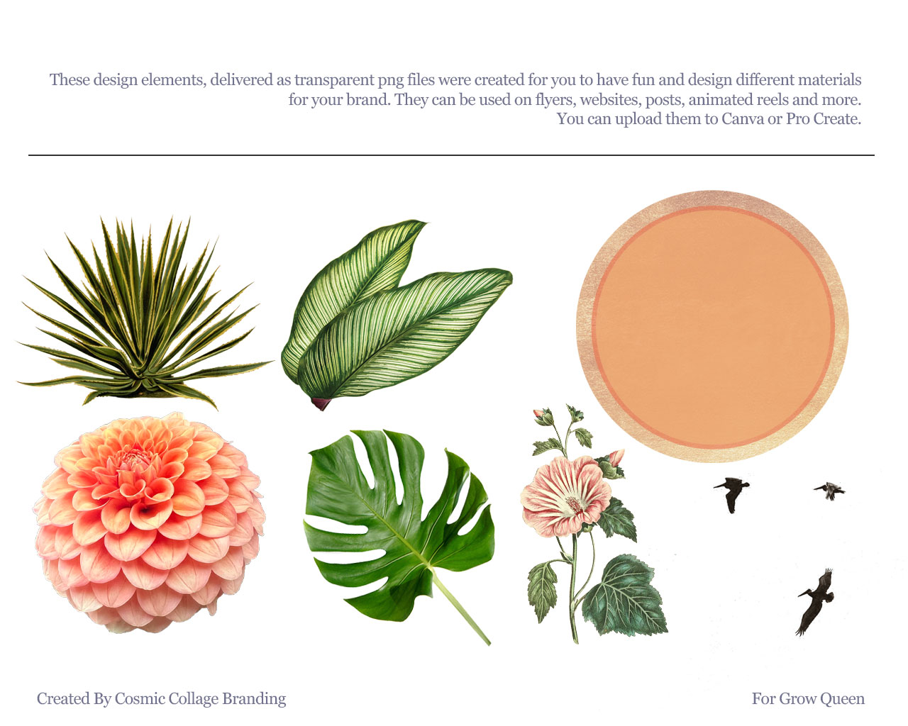 Design elements