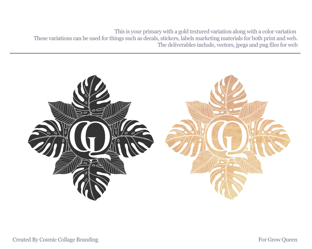 Logo variations on solids