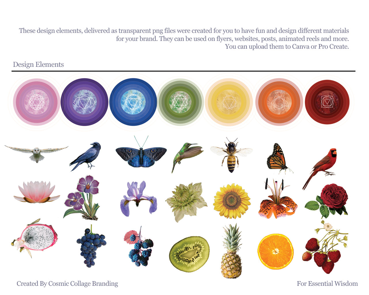 Heartistry design elements