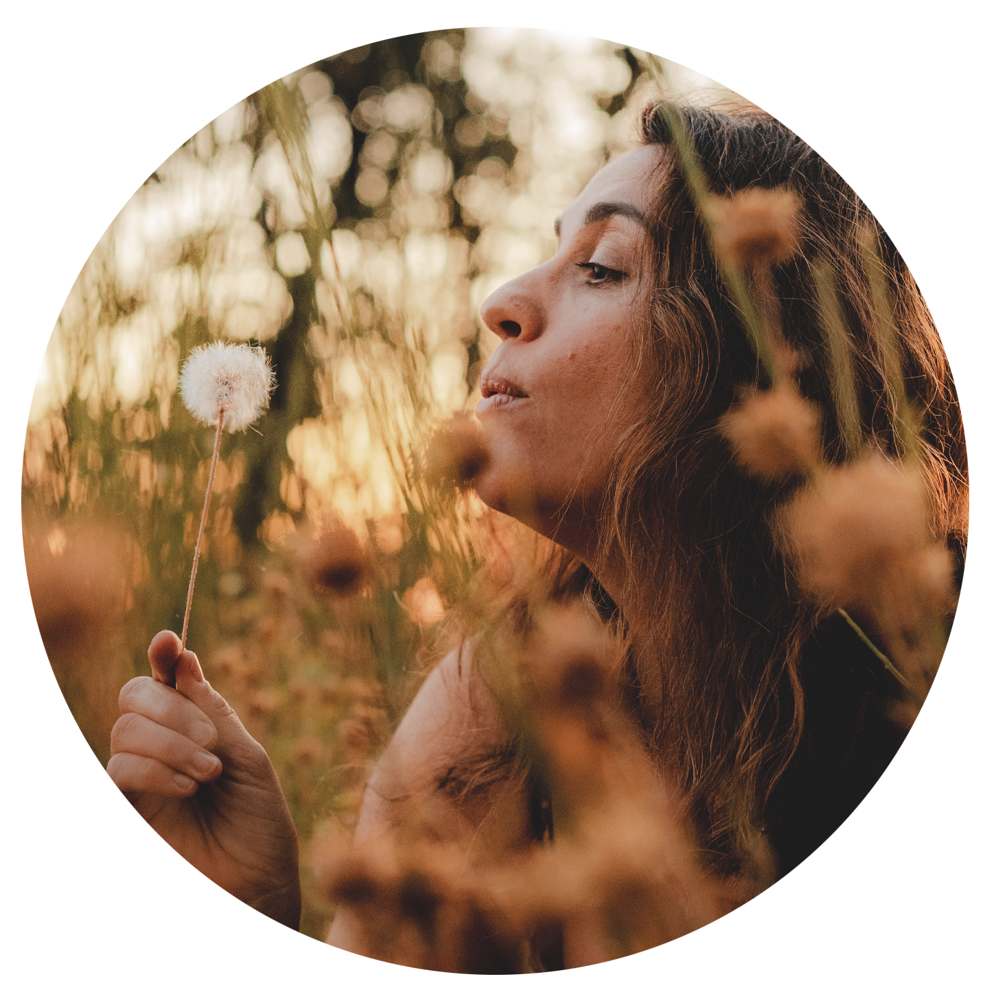 Lori Menna – Vision Code