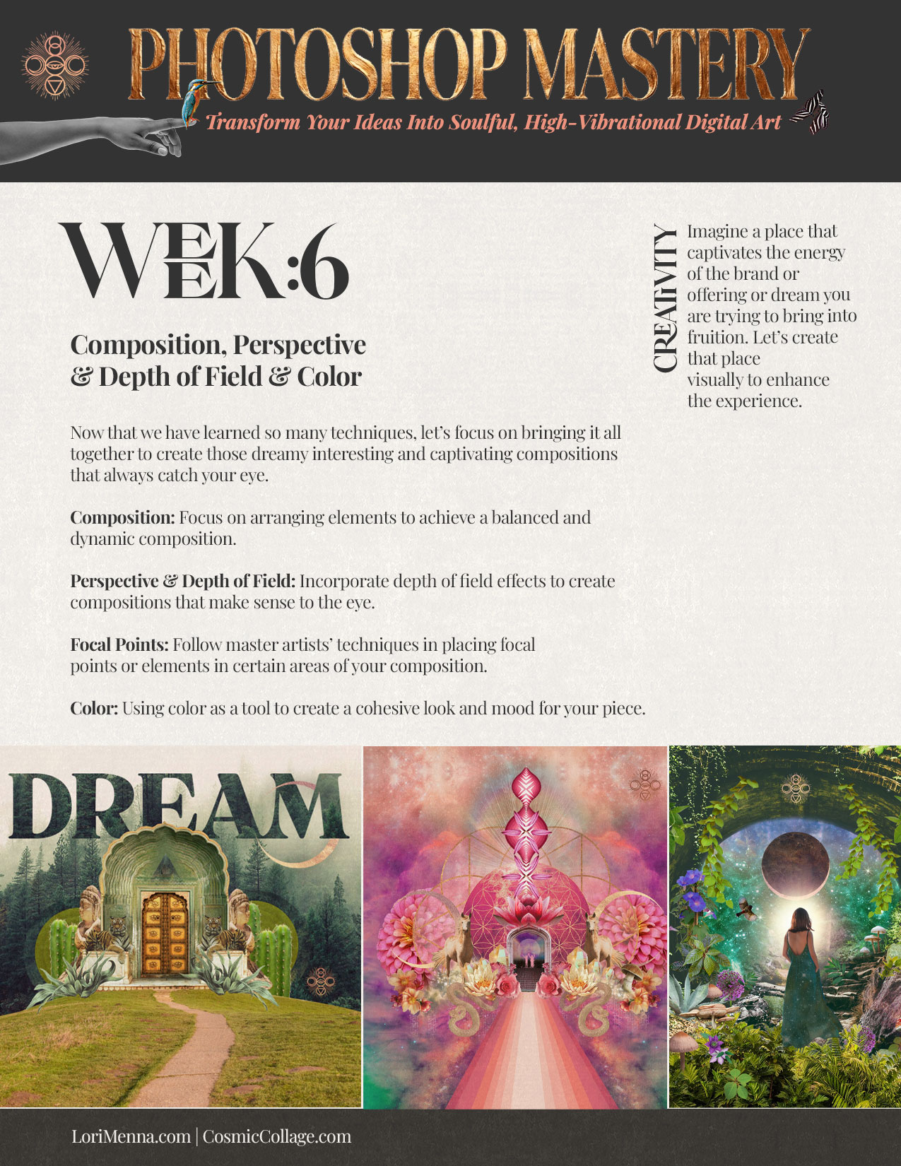 Week 6