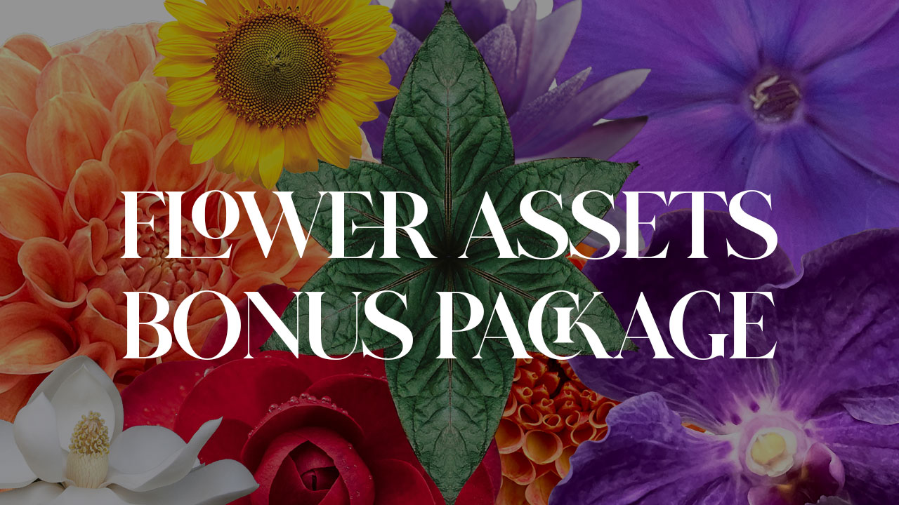 Flower Assets Bonus