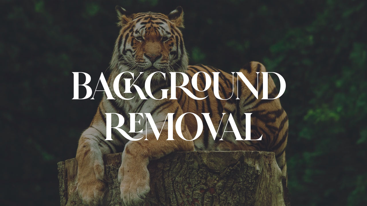 Background Removal