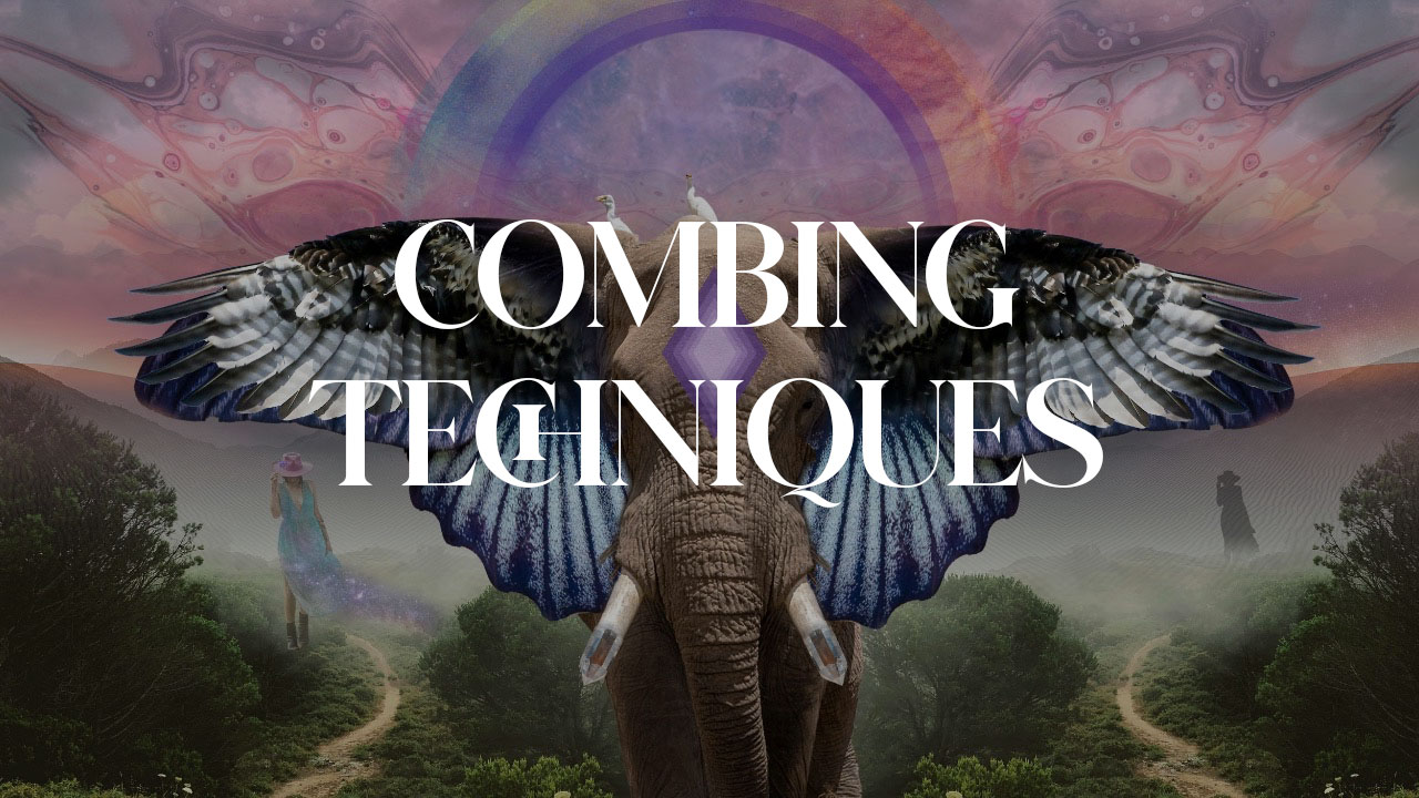 Module 5 - Combining Techniques