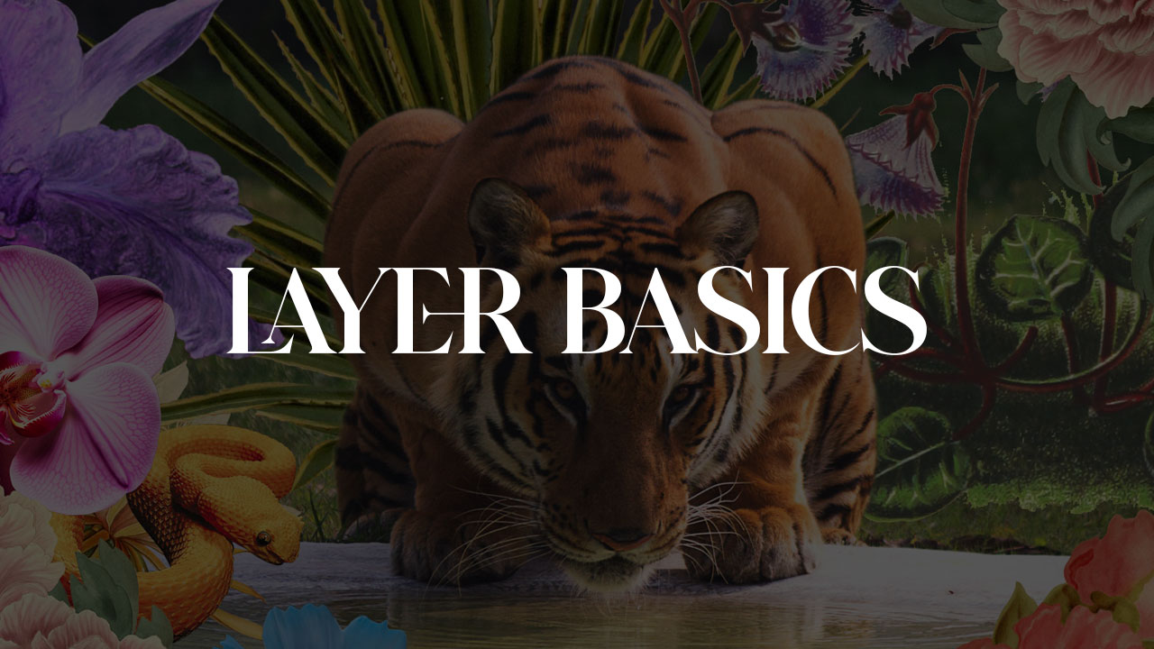 Layer Basics