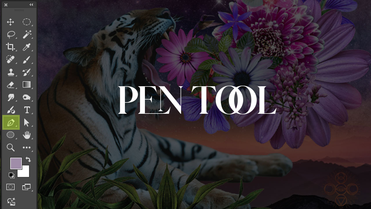 Pen Tool