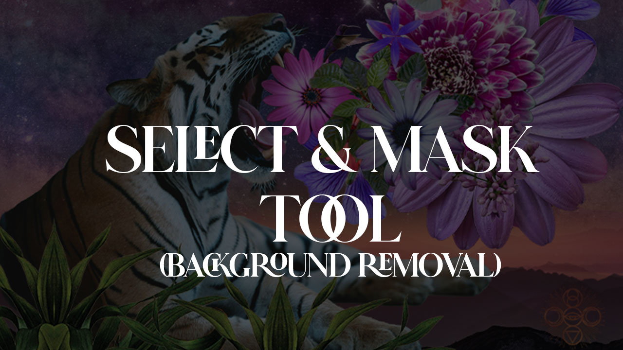 Select and Mask Tool Deep Dive