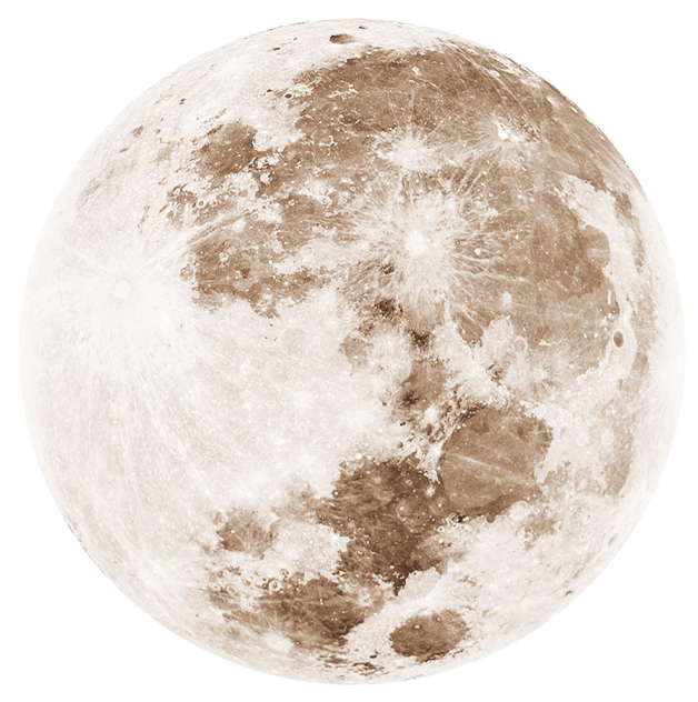 Moon, Monthly Live Workshop
